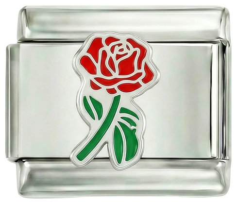 Hel röd ros med grön stjälk